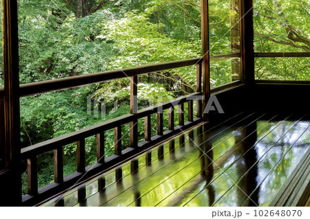 新緑のもみじと瑠璃光院　書院の風景　京都府京都市 102648070