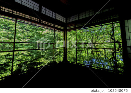 新緑のもみじと瑠璃光院　書院の風景　京都府京都市 102648076