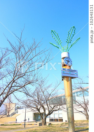 清須市、清須市夢広場はるひの風景 清須市、清須市夢広場はるひの風景 102648131