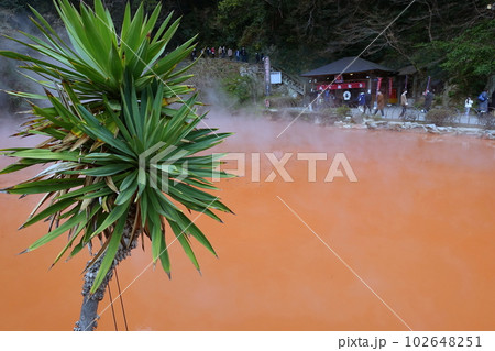 別府　血の池地獄 102648251