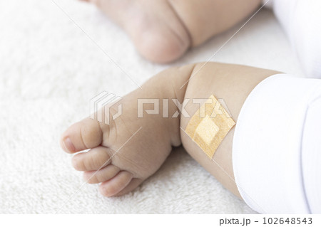足に絆創膏を貼った赤ちゃん（生後5か月、日本人、男の子） 102648543