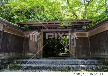 新緑のもみじと瑠璃光院　山門　京都府京都市 102649117