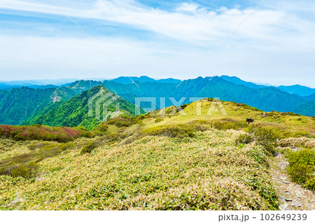 春の伊予富士・寒風山・笹ヶ峰登山(笹ヶ峰山頂から寒風山・伊予富士方面の眺め) 春の伊予富士・寒風山・笹ヶ峰登山(笹ヶ峰山頂から寒風山・伊予富士方面の眺め) 102649239