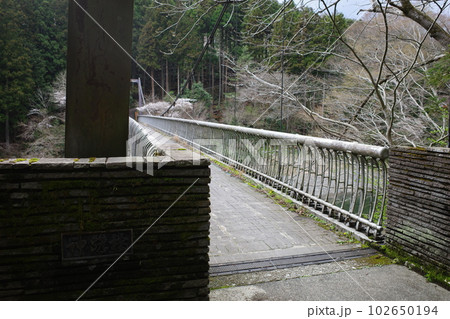 青梅市の御岳渓谷にかかる神路橋 青梅市の御岳渓谷にかかる神路橋 102650194