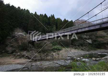 青梅市の御岳渓谷から見た神路橋 102650195