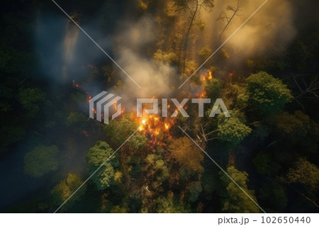 Top view of raging forest fire. Rapidly spreading wildfire. Generative AI 102650440