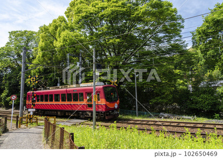 三宅八幡3号踏切を通過する叡山電鉄の電車　京都府京都市 102650469