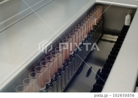 DNA ＤＮＡ 遺伝子 102650856