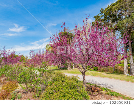 Sunny view of building in Tulsa Botanic Garden 102650931