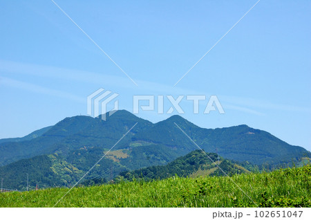 静岡市郊外春の里山風景 102651047