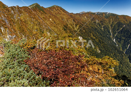 木曾殿越から見る紅葉の中央アルプス主稜線 102651064