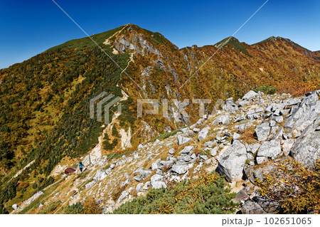 空木岳への登りから見る木曽殿越と紅葉の中央アルプス主稜線 102651065