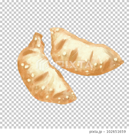 Fried dumplings (hand-painted) Fried dumplings (hand-painted) 102651659