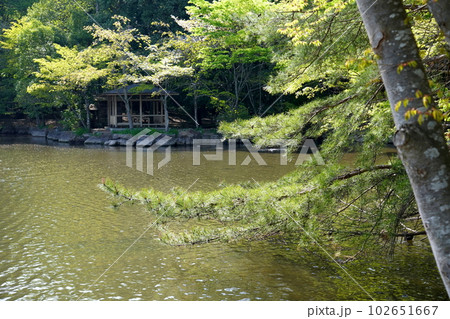 静沼　那須 乃木神社　栃木県那須塩原市石林 102651667