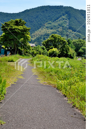 はるの里山の道 102651811