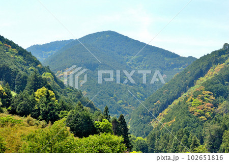 静岡市郊外春の里山風景 静岡市郊外春の里山風景 102651816