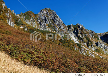 紅葉の千畳敷カールから望む中央アルプス・宝剣岳の岩峰 102651873