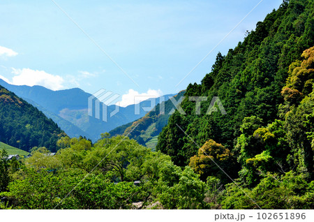 静岡市郊外春の里山風景 静岡市郊外春の里山風景 102651896