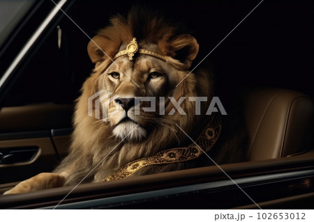 Unforgettable wildlife experience the lion king sitting in the car seat, observing the African landscape with an air of regal superiority. AI Generative. 102653012