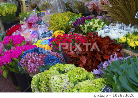 Amsterdam, Netherlands - Nov 29, 2019 : Food stall at Albert Cuyp Market in Amsterdam, Netherlands on Nov 29, 2019. Amsterdam, Netherlands - Nov 29, 2019 : Food stall at Albert Cuyp Market in Amsterdam, Netherlands on Nov 29, 2019. 102653026