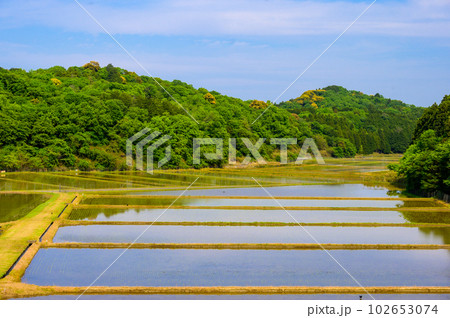 今も昔も変わらない田んぼのある風景の写真素材 [102653074] - PIXTA