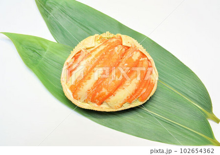 釜茹で松葉がにの甲羅盛り 102654362