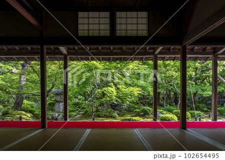 圓光寺の風景　書院から見た新緑の庭園　京都府京都市 102654495