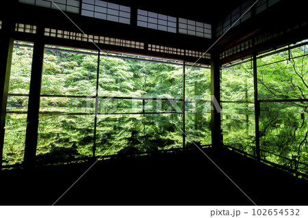 新緑のもみじと瑠璃光院 書院の風景 京都府京都市 新緑のもみじと瑠璃光院 書院の風景 京都府京都市 102654532