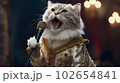 猫のど自慢 102654841