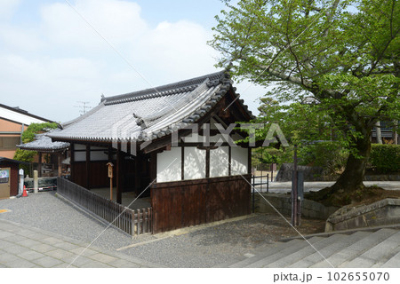 新緑の清水寺　馬駐　京都市東山区 102655070