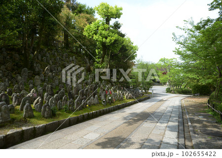 新緑の清水寺 境内の石仏群 京都市東山区 新緑の清水寺 境内の石仏群 京都市東山区 102655422