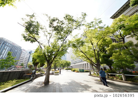 大阪市役所 淀屋橋 大阪市役所 淀屋橋 102656395