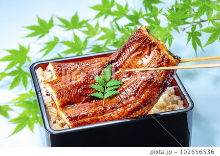 うな重　うなぎの蒲焼　鰻 102656536