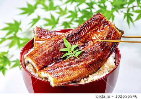 鰻丼 うなぎの蒲焼 鰻 鰻丼 うなぎの蒲焼 鰻 102656546