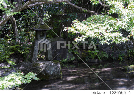 初夏の蓮華寺 青もみじと庭 京都府京都市 初夏の蓮華寺 青もみじと庭 京都府京都市 102656614