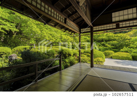 詩仙堂丈山寺　初夏の風景　新緑の庭園　京都府京都市 102657511