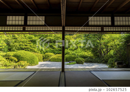 詩仙堂丈山寺　初夏の風景　新緑の庭園　京都府京都市 102657525