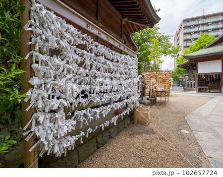 神社の境内にあり、たくさんのおみくじが結び付けられたおみくじ納所 102657724