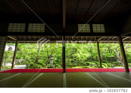 圓光寺の風景　書院から見た新緑の庭園　京都府京都市 102657762