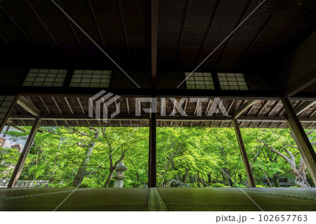 圓光寺の風景　書院から見た新緑の庭園　京都府京都市 102657763