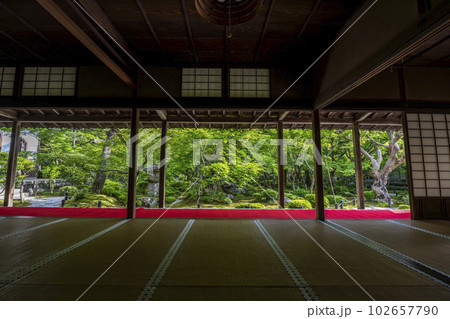 圓光寺の風景　書院から見た新緑の庭園　京都府京都市 102657790