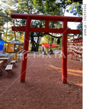 金沢 102659102