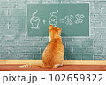 Cat school 102659322