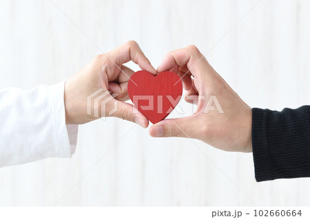 男女の手に持たれたハートのオブジェクト 102660664