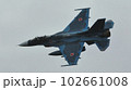 F-2 102661008