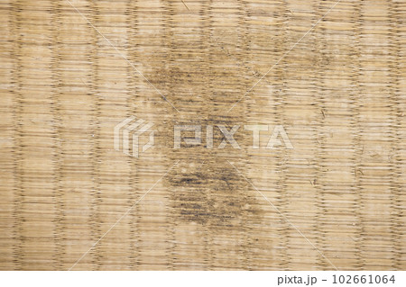 ささくれて黒カビがはえた畳 102661064