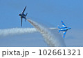 ブルーインパルス 102661321