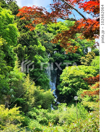 新緑の朝日滝 新緑の朝日滝 102662064