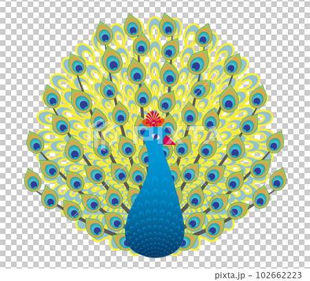 クジャクのカラフルなランゴリのイラスト 102662223