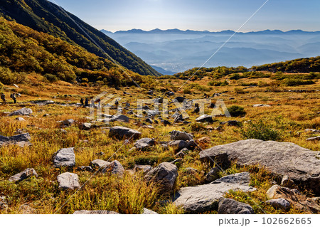 草紅葉の中央アルプス・千畳敷カールから望む南アルプス・富士山 草紅葉の中央アルプス・千畳敷カールから望む南アルプス・富士山 102662665